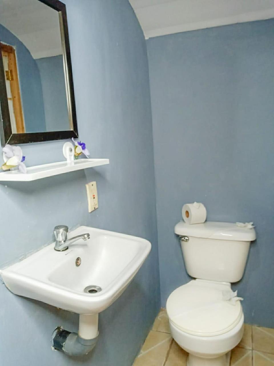 Apartament Hospedaje Combi Dream Bird Playas del Coco Zewnętrze zdjęcie